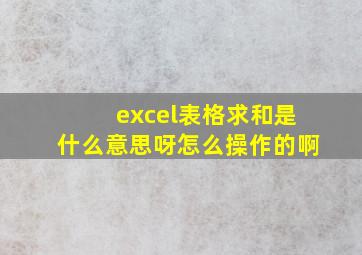 excel表格求和是什么意思呀怎么操作的啊