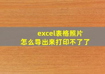 excel表格照片怎么导出来打印不了了