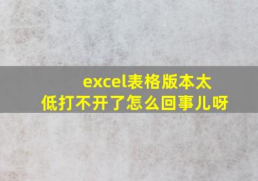 excel表格版本太低打不开了怎么回事儿呀