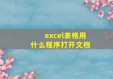 excel表格用什么程序打开文档