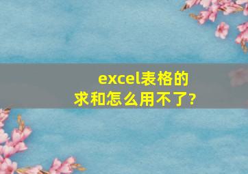 excel表格的求和怎么用不了?