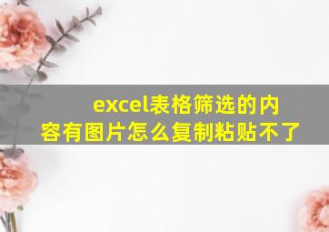 excel表格筛选的内容有图片怎么复制粘贴不了