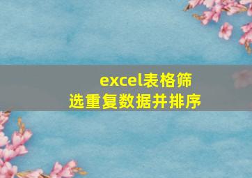 excel表格筛选重复数据并排序