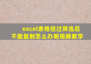 excel表格经过筛选后不能复制怎么办呢视频教学