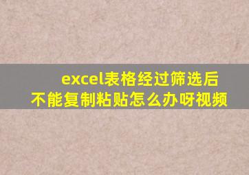 excel表格经过筛选后不能复制粘贴怎么办呀视频