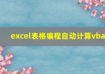 excel表格编程自动计算vba