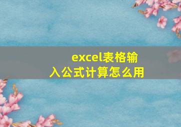 excel表格输入公式计算怎么用