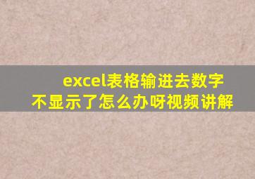 excel表格输进去数字不显示了怎么办呀视频讲解