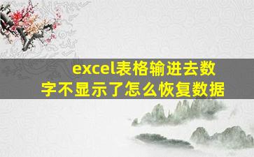 excel表格输进去数字不显示了怎么恢复数据