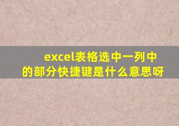 excel表格选中一列中的部分快捷键是什么意思呀