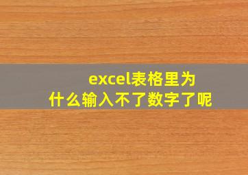 excel表格里为什么输入不了数字了呢