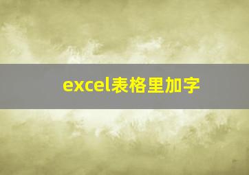 excel表格里加字