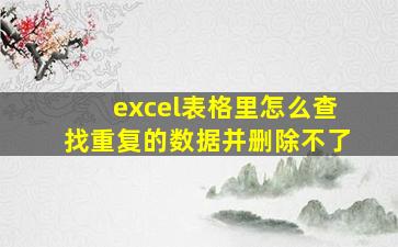 excel表格里怎么查找重复的数据并删除不了