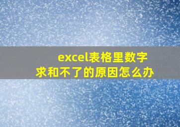 excel表格里数字求和不了的原因怎么办