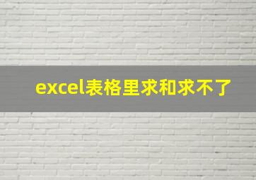 excel表格里求和求不了