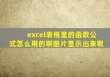 excel表格里的函数公式怎么用的啊图片显示出来呢