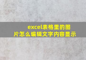 excel表格里的图片怎么编辑文字内容显示