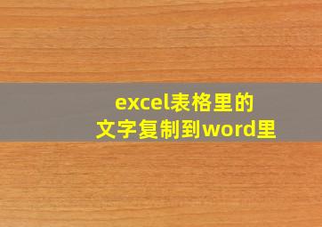 excel表格里的文字复制到word里