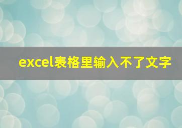 excel表格里输入不了文字