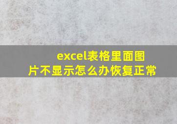 excel表格里面图片不显示怎么办恢复正常