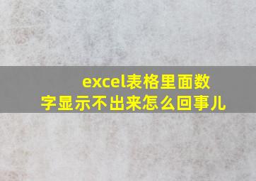 excel表格里面数字显示不出来怎么回事儿