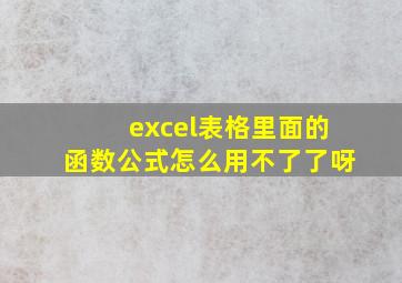 excel表格里面的函数公式怎么用不了了呀