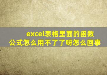 excel表格里面的函数公式怎么用不了了呀怎么回事