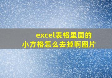 excel表格里面的小方格怎么去掉啊图片