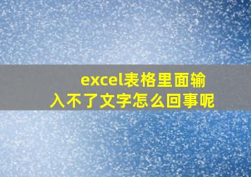 excel表格里面输入不了文字怎么回事呢