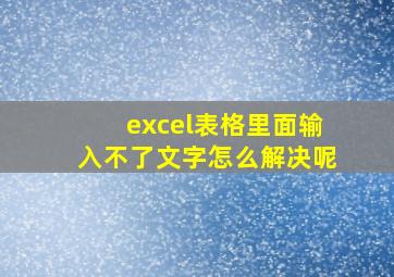 excel表格里面输入不了文字怎么解决呢