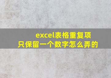 excel表格重复项只保留一个数字怎么弄的