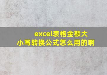 excel表格金额大小写转换公式怎么用的啊