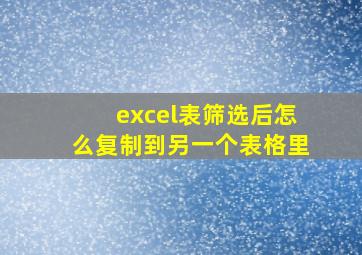 excel表筛选后怎么复制到另一个表格里