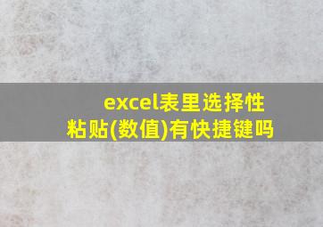 excel表里选择性粘贴(数值)有快捷键吗