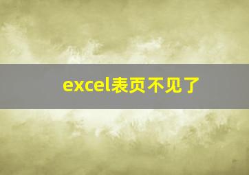 excel表页不见了