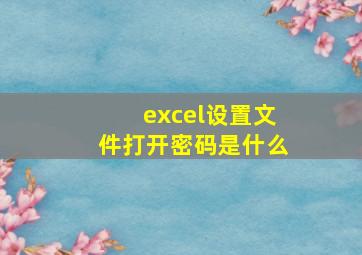 excel设置文件打开密码是什么