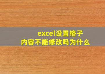 excel设置格子内容不能修改吗为什么