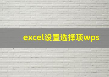 excel设置选择项wps