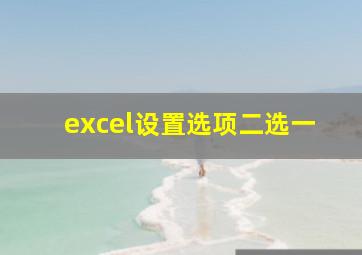 excel设置选项二选一