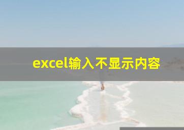 excel输入不显示内容