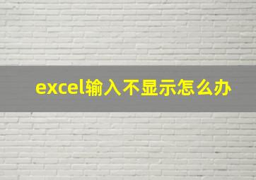 excel输入不显示怎么办