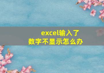 excel输入了数字不显示怎么办