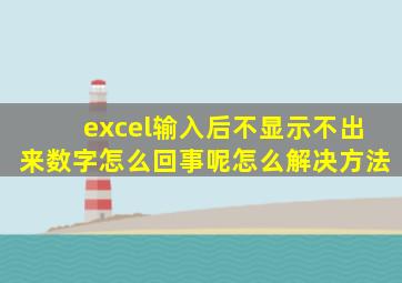 excel输入后不显示不出来数字怎么回事呢怎么解决方法