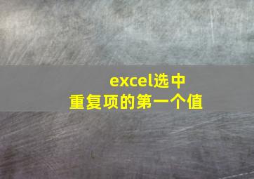 excel选中重复项的第一个值