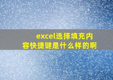 excel选择填充内容快捷键是什么样的啊