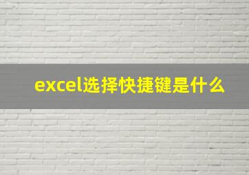 excel选择快捷键是什么