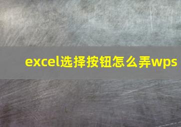 excel选择按钮怎么弄wps