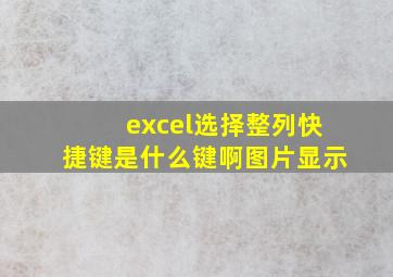 excel选择整列快捷键是什么键啊图片显示