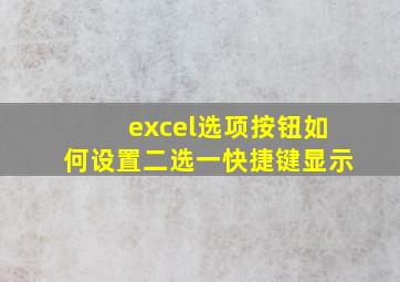 excel选项按钮如何设置二选一快捷键显示