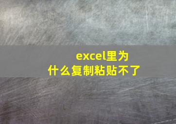 excel里为什么复制粘贴不了